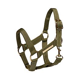 Cheval Roi Hobbyhorse Halter 